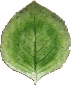 Costa Nova Riviera Tallerken Hortensiablad Grøn/sort